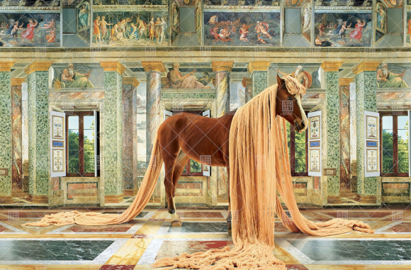 The lady baby The lady baby