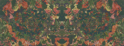 Flower power Londonart