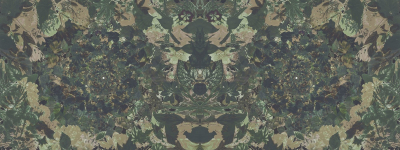 Flower power Londonart