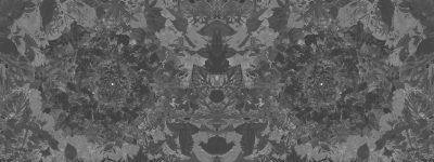 Flower power Londonart