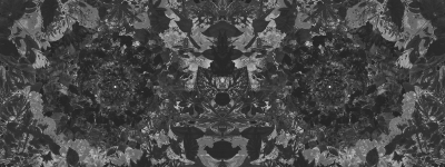 Flower power Londonart