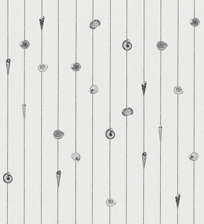 Conchiglie Londonart