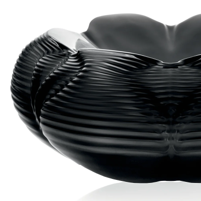 Fontana Bowl Black Crystal Lalique & Zaha Hadid