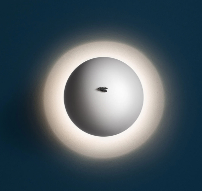 Ale W Catellani Smith