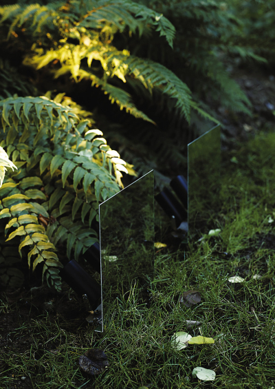 Belladinotte Davide Groppi