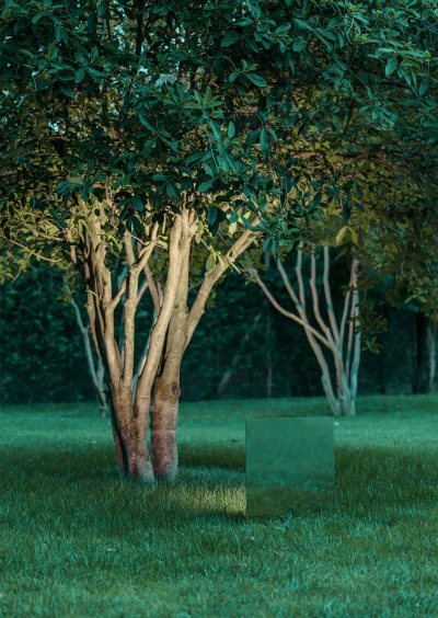 Belladinotte Davide Groppi