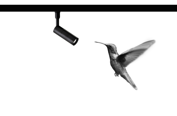 Colibrì Davide Groppi