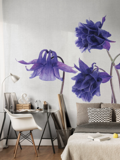 Campanula Londonart