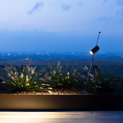 Grillo Davide Groppi