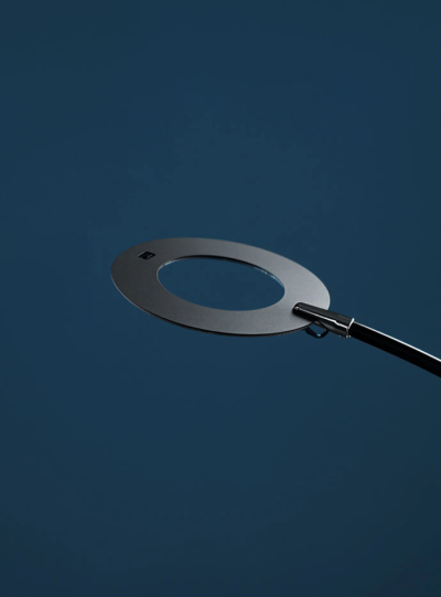 Giulietta F Catellani Smith