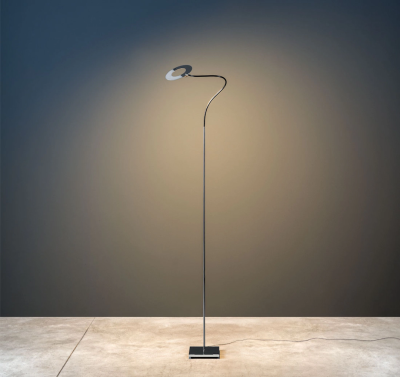 Giulietta F Catellani Smith