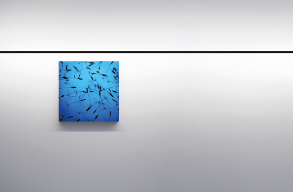 Infinito Davide Groppi