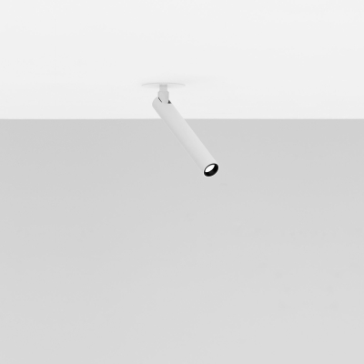 Mira R Davide Groppi