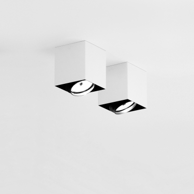 Punto PL Davide Groppi