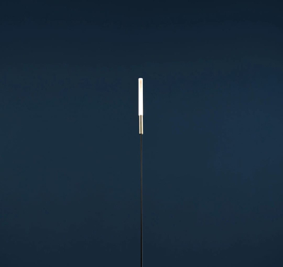 Syphasera Catellani Smith