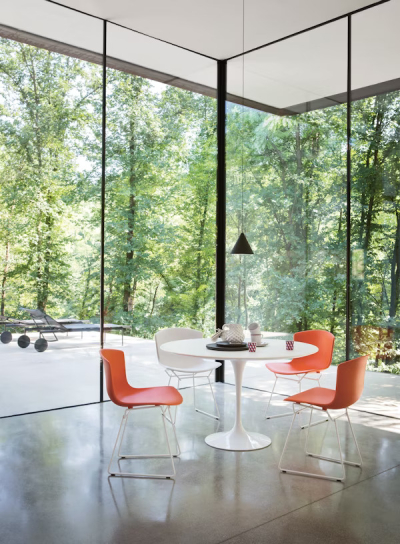 Bertoia Molded Shell Knoll