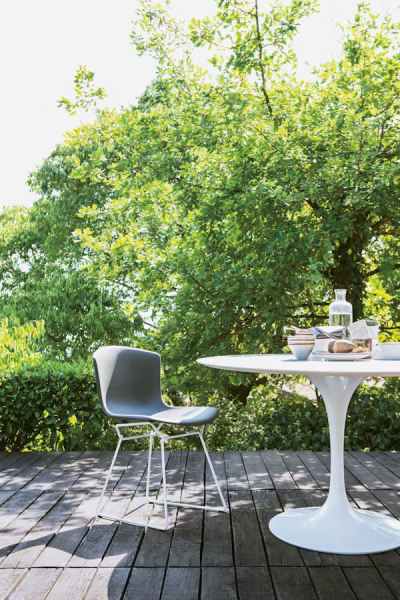 Bertoia Molded Shell Knoll