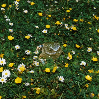 Gregoire Toad Sculpture Lalique