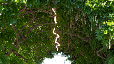 La Linea Artemide