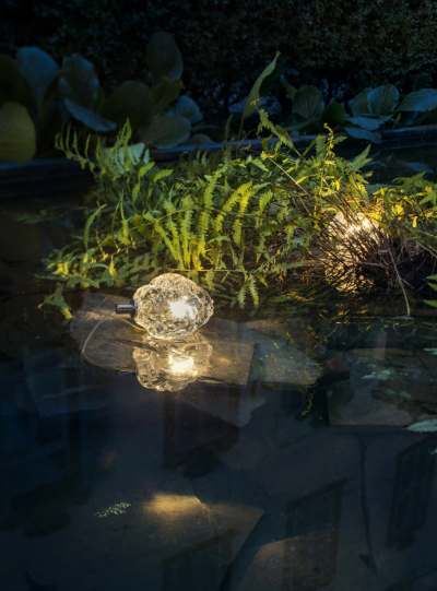 More 0 Catellani Smith