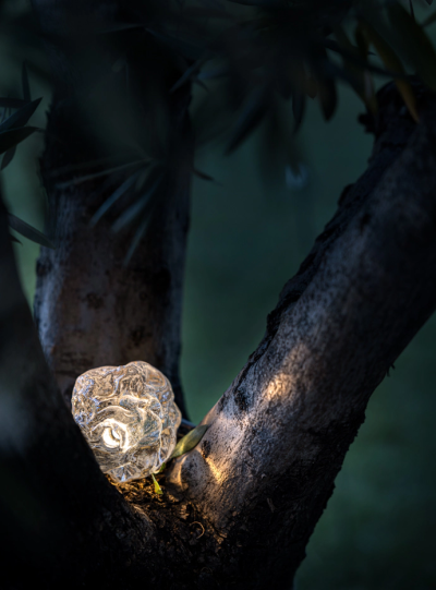 More 0 Catellani Smith