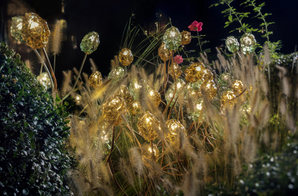 More F Catellani Smith