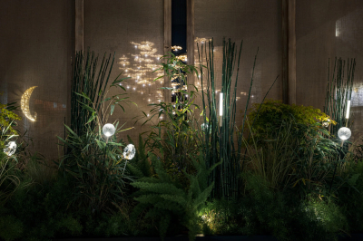 More F Catellani Smith