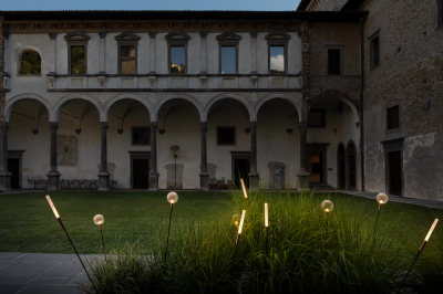 Syphasfera Catellani Smith