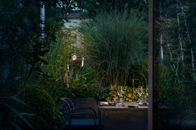 Syphasera Catellani Smith