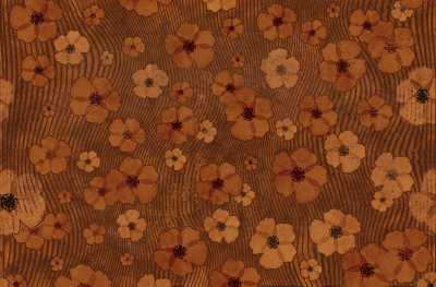 A saucerful of secrets Londonart